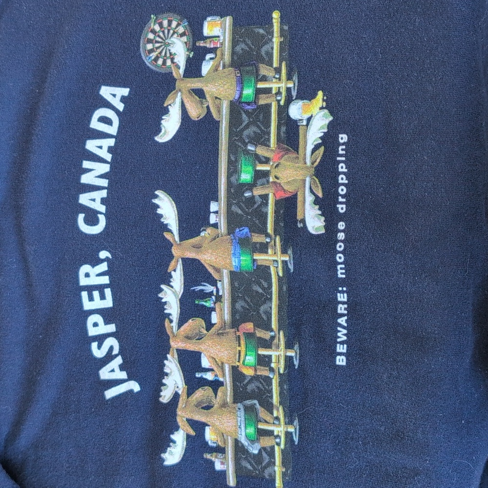 VTG Gildan Jasper Canada Moose Graphic Sweatshirt Cabincore SZ L - Picture 12 of 12